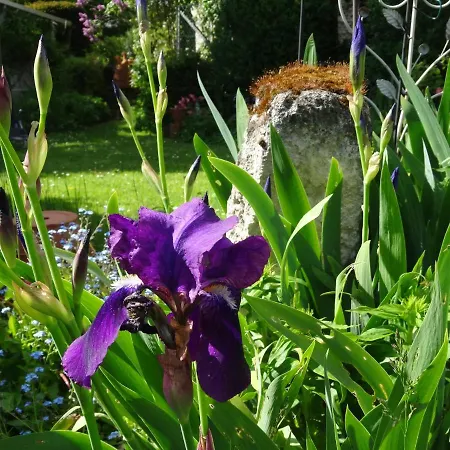 לינה וארוחת בוקר Le Coq Nientiedt Rösrath