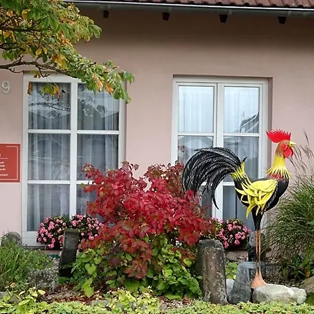 Le Coq Nientiedt 3*