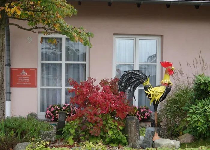 Le Coq Nientiedt B&B