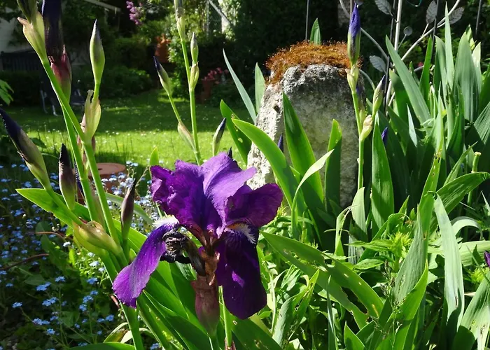 B&B Le Coq Nientiedt 로스라스