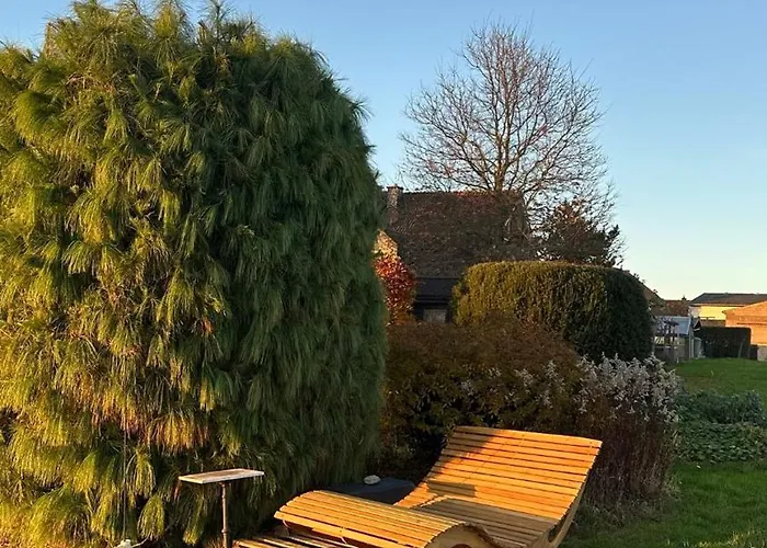 Le Coq Nientiedt 로스라스